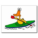 Duck stuffed in kayak